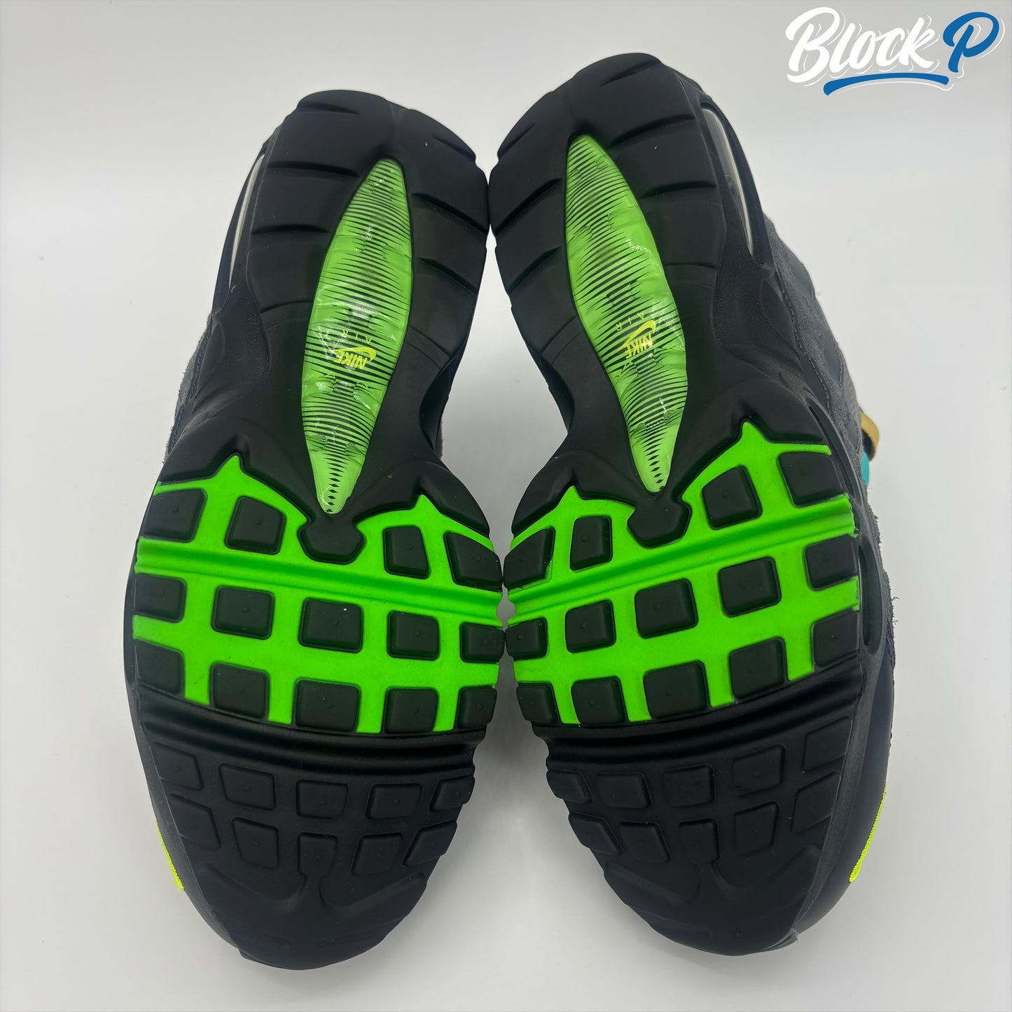 Nike Air Max 95 EOI