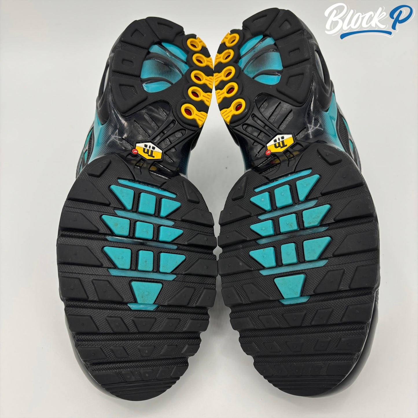 Nike Air Max Plus TN Dusty Cactus