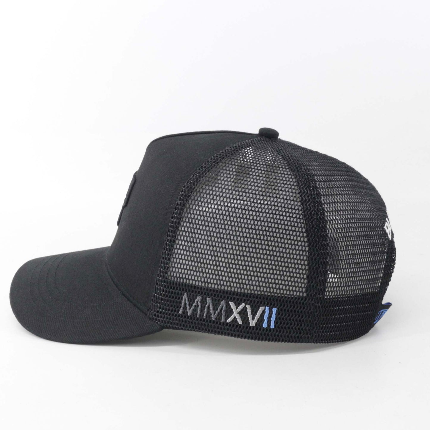 Block P Blue Cap