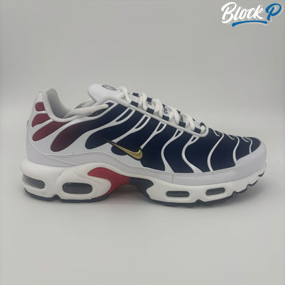 Nike Air Max Plus TN PSG