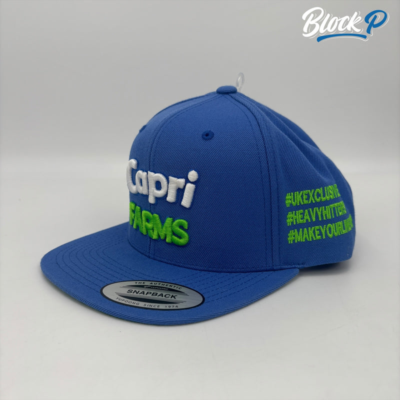 Capri Farms Snapback Cap Uni Blue