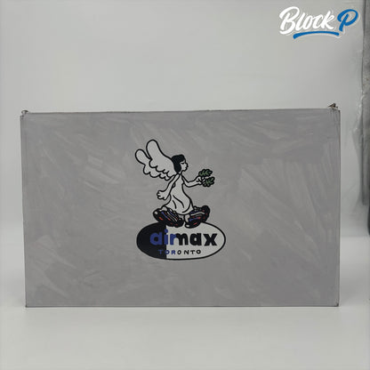 Nike Air Max 95 Toronto Special Box