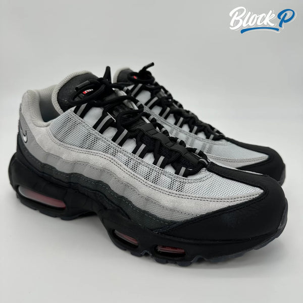 Nike Air Max 95 Koi (DQ3979-001) | Block P
