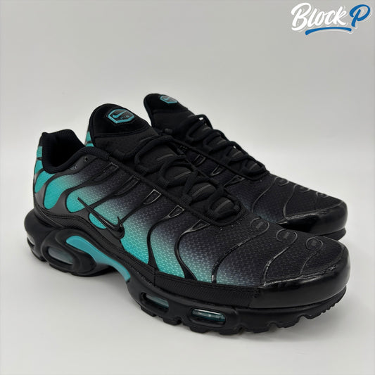 Nike Air Max Plus TN Dusty Cactus