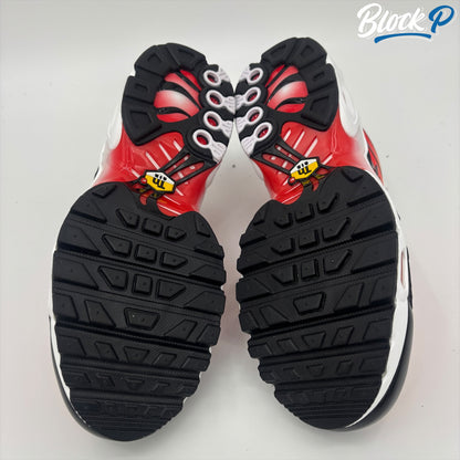 Nike Air Max Plus TN Crimson (GS)