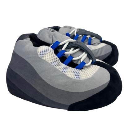 Block P 110 Blue Slipper’s