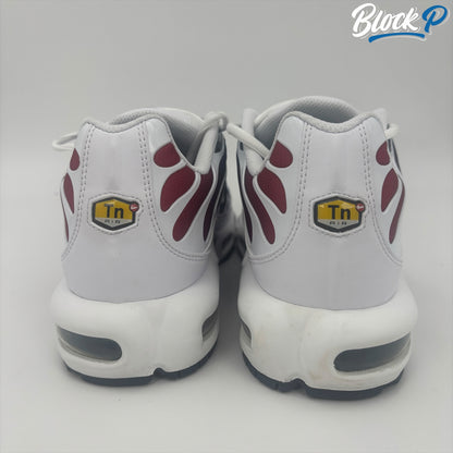 Nike Air Max Plus TN PSG
