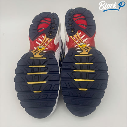 Nike Air Max Plus TN PSG