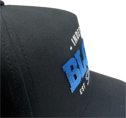Tapa de cepillo azul Block P